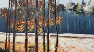 Trees with autumn leaves in a forest landscape.