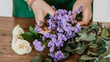 Hände arrangieren lila und weiße Blumen.