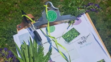 Zwischenablage mit Notizen und Pflanzen im Freien.