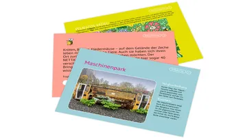 Three colorful informational cards with text and images.