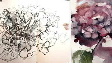 Abstract flower sketches and watercolor designs