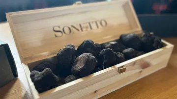 Holzkiste gefüllt mit schwarzen Trüffeln.