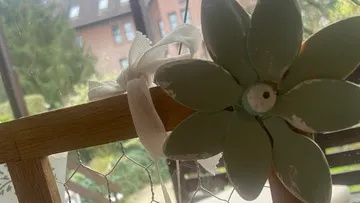 Blumendekoration auf Holzrahmen im Innenbereich