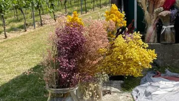 Glasgefäße mit bunten Blumen im Freien.