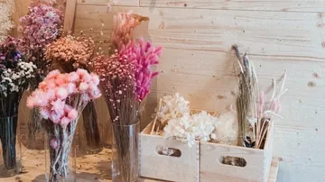Assorted dried flowers in vases and boxes.
