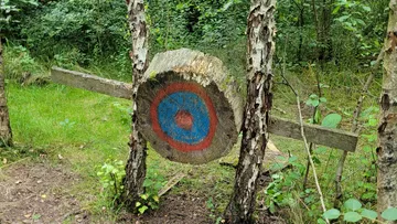 Zielscheibe aus bemaltem Holz in Waldumgebung.