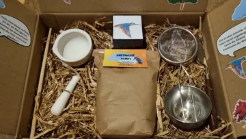 Bastelset mit Ton, Werkzeugen und Dekorationen.