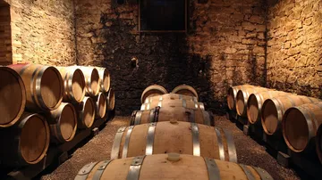 Wooden barrels stacked in a stone-walled cellar.