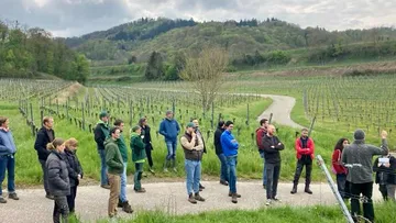 Group touring vineyard with guide, hills in background.