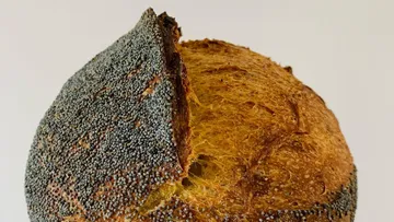 Sourdough bread with poppy seeds on crust.