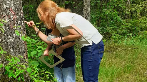 Two people examining a tree in a forest.