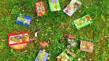 Buntes Kunstwerk zum Thema Natur auf Gras.