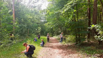 Menschen suchen auf einem Waldweg nach Nahrung.