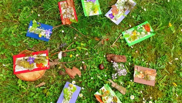 Bunte Karten zum Thema Natur, angeordnet auf grasbewachsenem Boden.