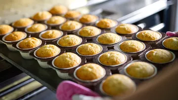Tray of freshly baked cupcakes in oven.