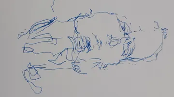 Abstract blue line drawing on white background.