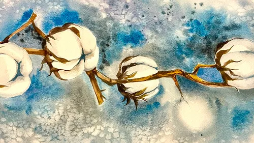 Cotton branch against blue watercolor background.