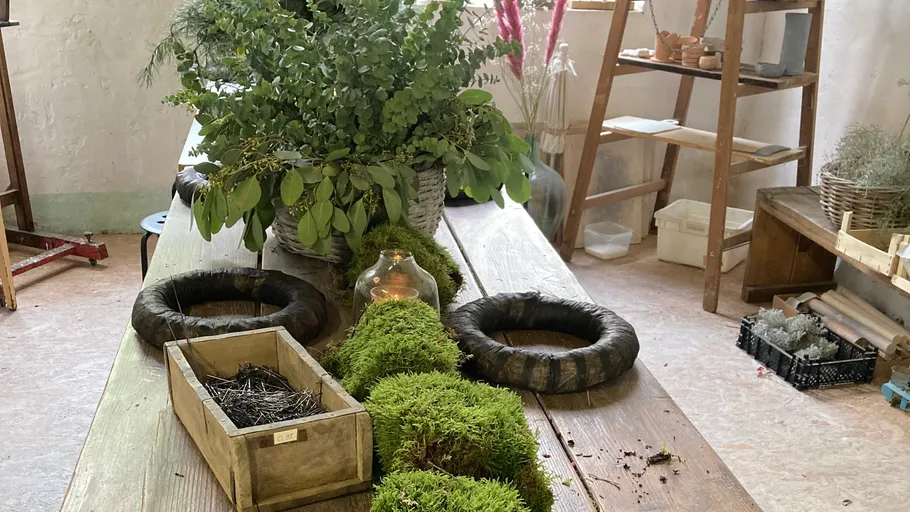 Plants and moss arranged on wooden table indoors.