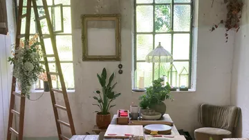 Cozy room with plants, table, and ladder by windows.