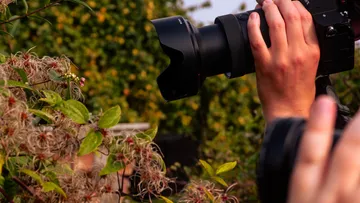 Person, die Pflanzen im Garten fotografiert.