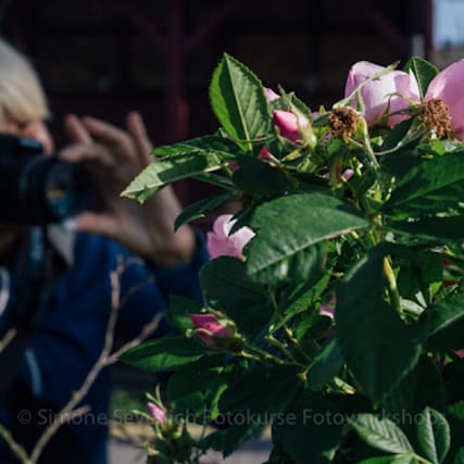 Fotospaziergang in Rostock: Die Kunst des Fotografierens