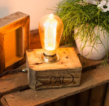 Edison bulb on wooden block beside plant.