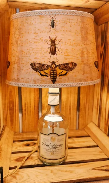Insect illustrations on musical note background.