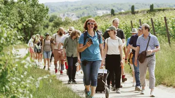 Group of people walking on a scenic path.