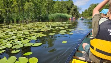 Kanufahrer paddelt durch einen mit Lilien bewachsenen Fluss.