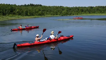 Leute, die auf einem ruhigen See Kajak fahren.