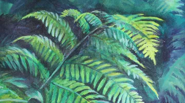 Artwork of green ferns with dark background.