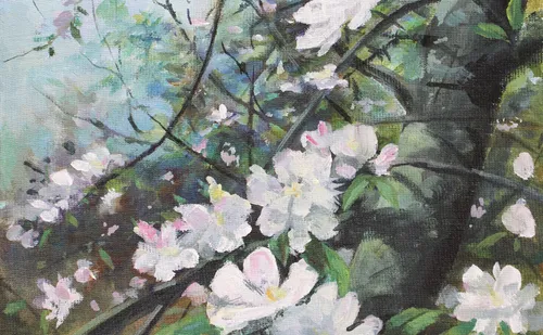 Weiße Blumen, die auf Ästen blühen.