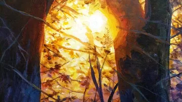 Sonnenlicht scheint durch die Zweige der Bäume im Herbst.