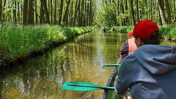 Person paddling in forested river
