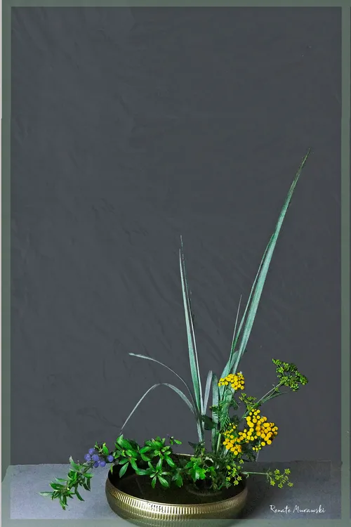 Floral arrangement in a circular vase, minimalistic style.