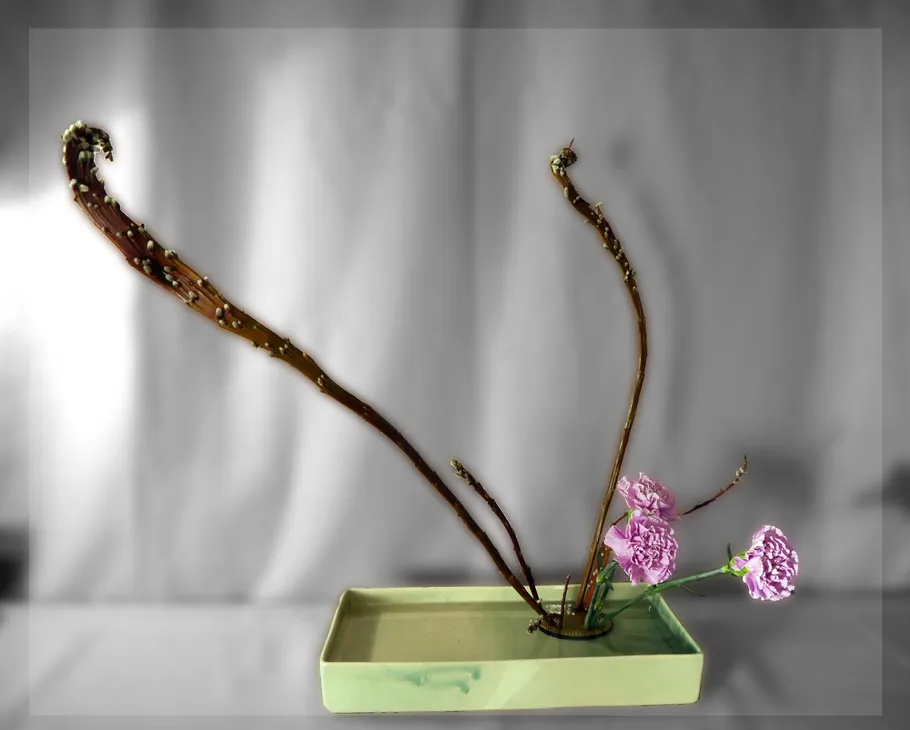 Ikebana arrangement with pink flowers in vase.