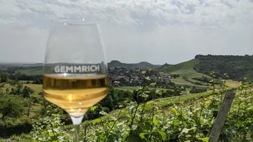 Weinglas mit Weinberglandschaftshintergrund.