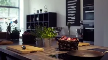 Moderne Küche mit Pflanzen auf der Arbeitsplatte.