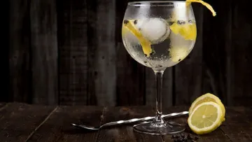 Gin and tonic with lemon garnish on table.