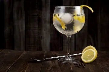 Gin and tonic with lemon garnish on wood.