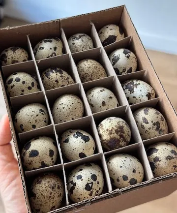 Box containing 20 speckled eggs in compartments.