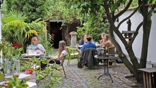 People dining in a leafy garden cafe.