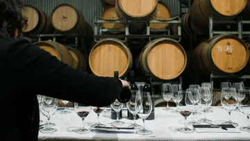Person, die Wein im Verkostungsraum des Weinguts einschenkt.