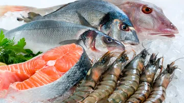 Verschiedene Meeresfrüchte, darunter Fisch und Garnelen auf Eis.