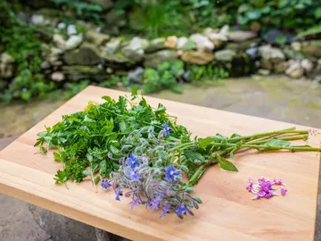 Frische Kräuter liegen auf einem Holzbrett im Freien.