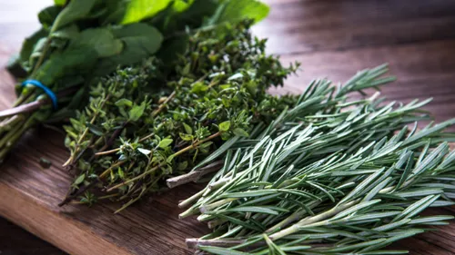 Bunches of fresh herbs on wooden surface.