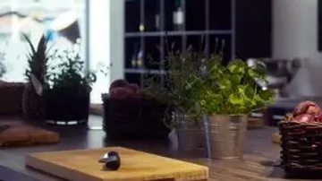 Kitchen counter with herbs and vegetables
