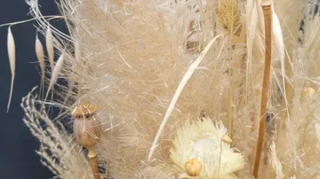 Dried flowers and grasses bouquet arrangement.