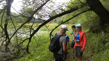 Group hiking in lush forest area.