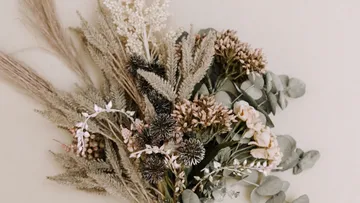 Dried floral arrangement on beige background.